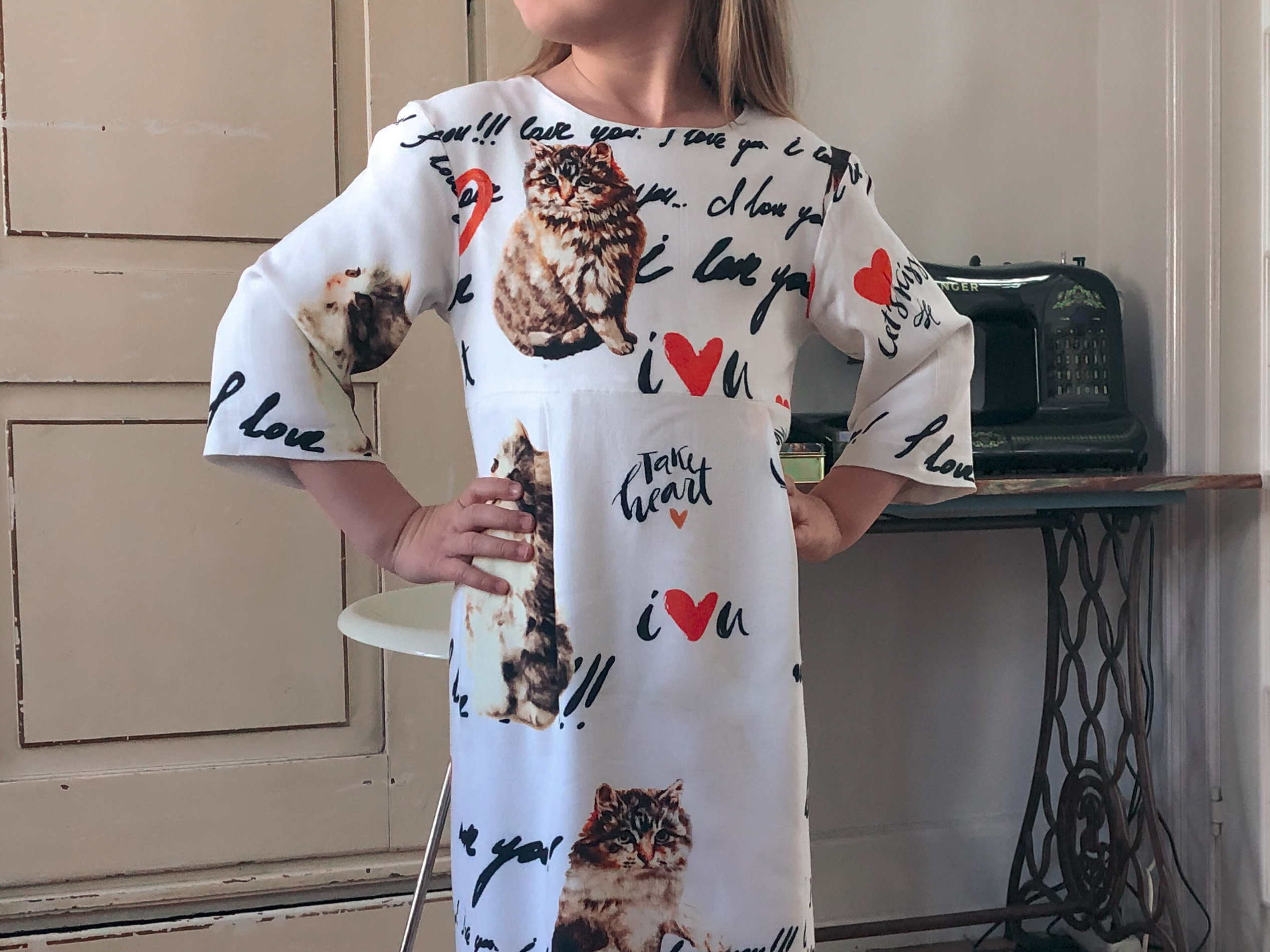 How I Shrunk the Cat Dress Feature Image